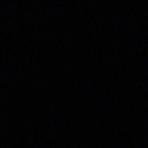 Meet your Posher, Max